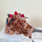Baileys chocolate chiffon cake
